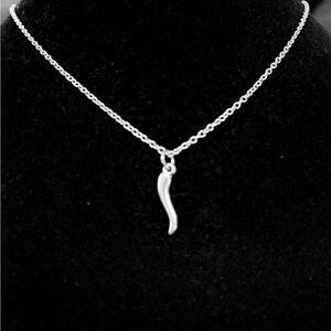 Youth/Child Italian Horn stainless steel necklace